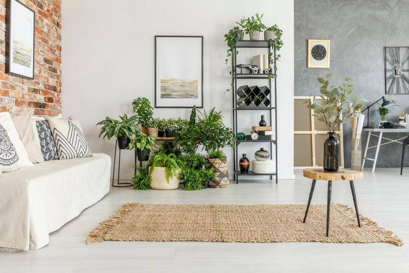 Image de l'annonce **Opportunité 3 PIÈCES avec belle TERRASSE et…