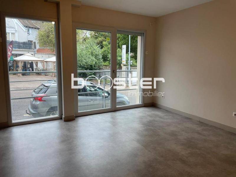 Image de l'annonce appartement hypercentre accessible PMR avec garage