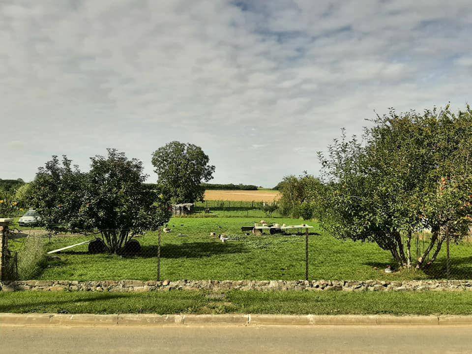 Terrain seul à Guiscard en Oise (60) de 1000 m² à vendre au prix de 34000€ - 1