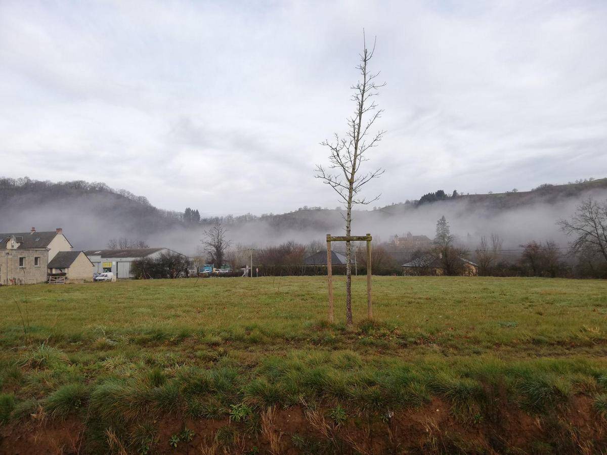Terrain seul à Sébrazac en Aveyron (12) de 675 m² à vendre au prix de 10125€