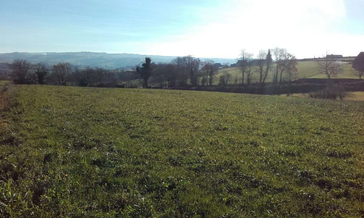 Terrain seul à Castanet en Aveyron (12) de 1017 m² à vendre au prix de 18306€ - 1
