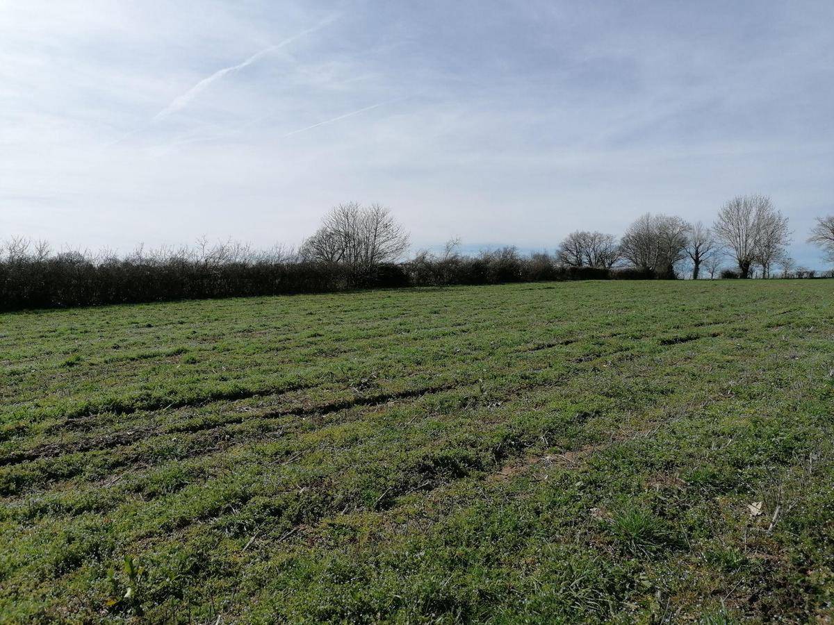 Terrain seul à Baraqueville en Aveyron (12) de 780 m² à vendre au prix de 55000€ - 2