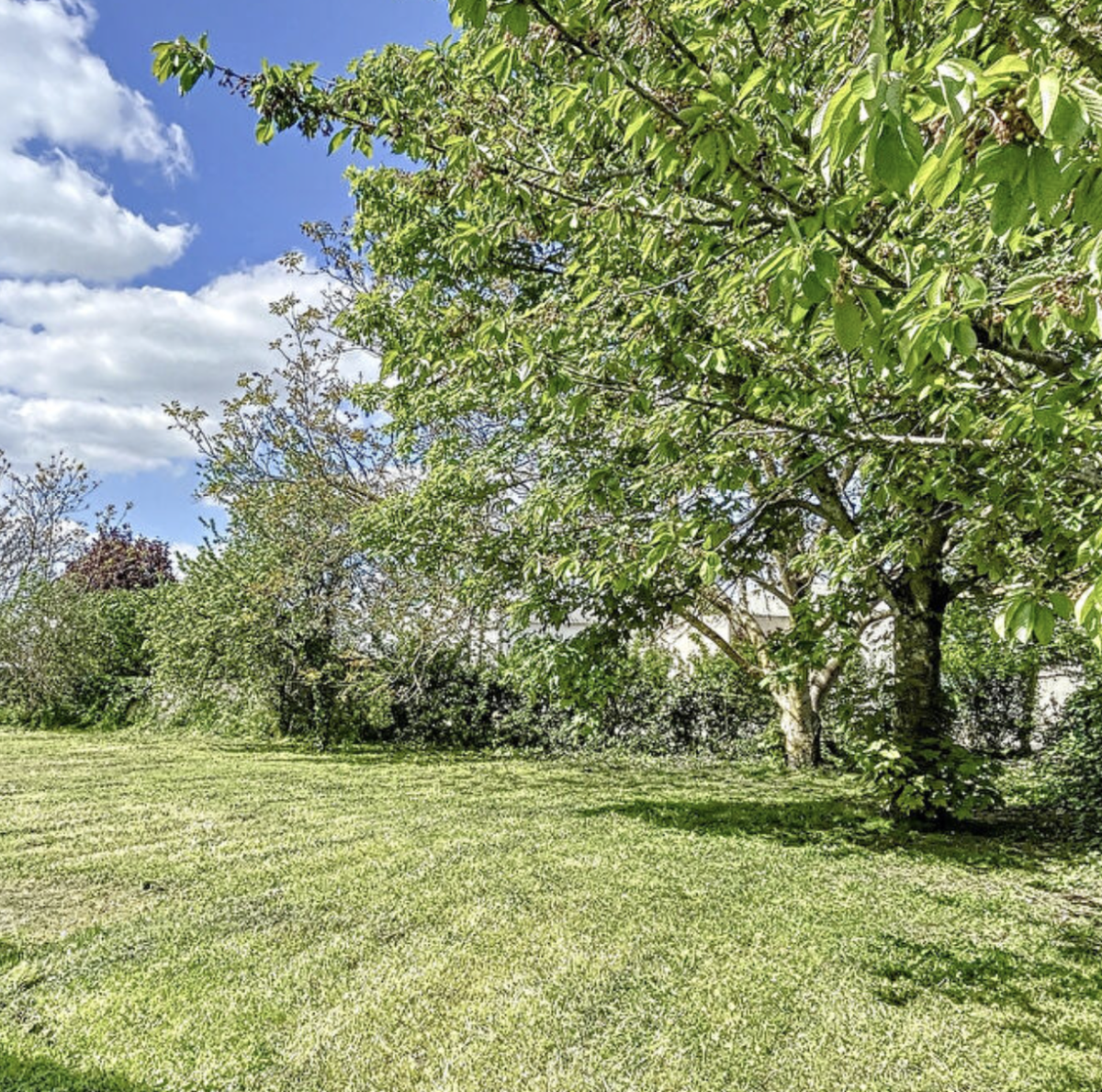 Terrain seul à Loire-Authion en Maine-et-Loire (49) de 343 m² à vendre au prix de 58200€ - 1